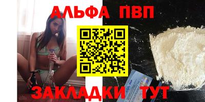 тгк Дмитров