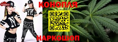 тгк Дмитров